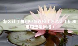 怎么让手机和电脑连接（怎么让手机和电脑连接网络）