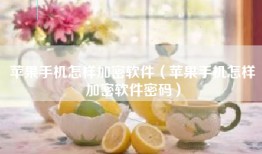 苹果手机怎样加密软件（苹果手机怎样加密软件密码）