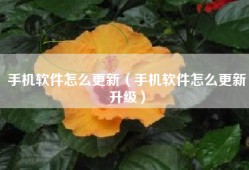 手机软件怎么更新（手机软件怎么更新升级）