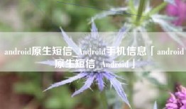 android原生短信_Android手机信息「android原生短信_Android」