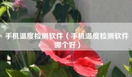 手机温度检测软件（手机温度检测软件哪个好）