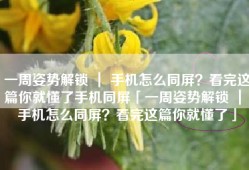 一周姿势解锁 ｜ 手机怎么同屏？看完这篇你就懂了手机同屏「一周姿势解锁 ｜ 手机怎么同屏？看完这篇你就懂了」