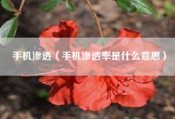 手机渗透（手机渗透率是什么意思）