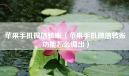 苹果手机微信转账（苹果手机微信转账功能怎么调出）