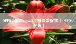 OPPOA3配置oppoa3手机参数配置「OPPOA3配置」