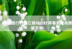 4月起施行！浙江推动会计师事务所高质量发展