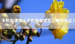 手机版淘宝（手机版淘宝怎么删除评论）