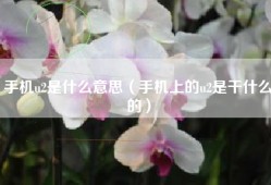 手机u2是什么意思（手机上的u2是干什么的）