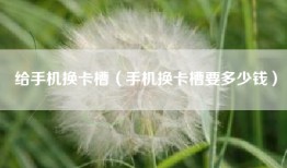 给手机换卡槽（手机换卡槽要多少钱）