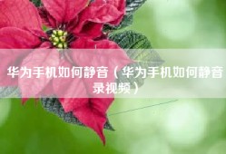 华为手机如何静音（华为手机如何静音录视频）