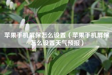 苹果手机屏保怎么设置（苹果手机屏保怎么设置天气预报）