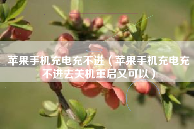 苹果手机充电充不进（苹果手机充电充不进去关机重启又可以）