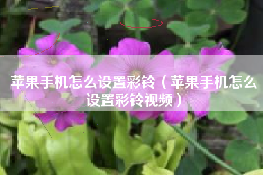 苹果手机怎么设置彩铃（苹果手机怎么设置彩铃视频）