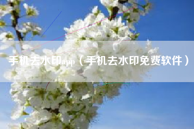 手机去水印app（手机去水印免费软件）