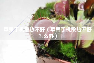 苹果手机散热不好（苹果手机散热不好怎么办）