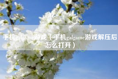 手机galgame游戏（手机galgame游戏解压后怎么打开）